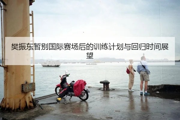 樊振东暂别国际赛场后的训练计划与回归时间展望